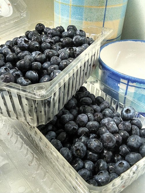 暑中お見舞い申し上げます
