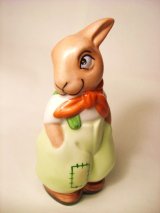 ポケットのうさぎ
