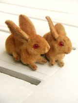春が好きなうさぎ　WAGNER社