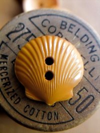 ホタテ貝　巡礼の旅　貝殻　ベークライトボタン