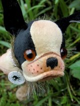 シュタイフ　フレンチブルドッグ 2012　ブリー　ＳＴＥＩＦＦ　ＢＵＬＬＹ