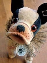 シュタイフ　フレンチブルドッグ 2012　ブリー　ＢＵＬＬＹ