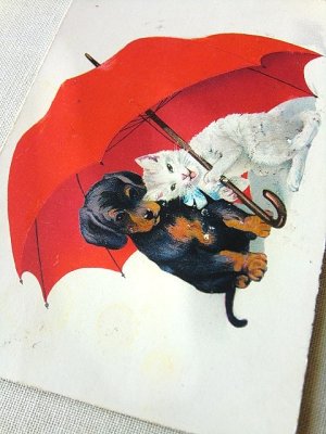 画像3: 傘の下の２ひき　アンティーク　絵葉書　ヴィンテージのポストカード