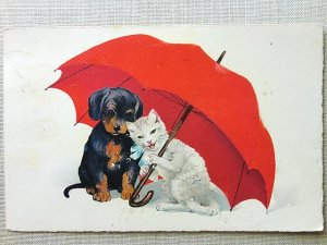 画像2: 傘の下の２ひき　アンティーク　絵葉書　ヴィンテージのポストカード