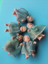 ミニミニサイズのベビー　くるみの殻があったなら・・・