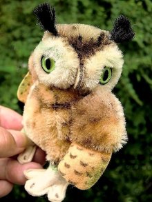 他の写真2: シュタイフ　フクロウ  Owl Wittie　オウル　