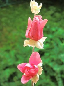 他の写真1: シックな色の薔薇　布花　コサージュパーツ　