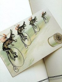 ウサギたちのサイクリング　ヴィクトリアンバニー　トレードカード　　　　