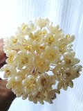 追加再入荷　ワックスフラワー　オレンジの花　ドイツのアンティークパーツ　クラフトに