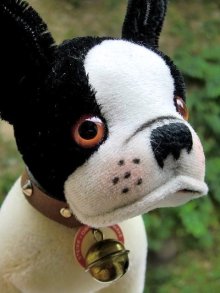 他の写真2: ブリー　シュタイフ　ＢＵＬＬＹ　ＳＴＥＩＦＦ　フレンチブルドッグ　