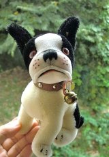ブリー　シュタイフ　ＢＵＬＬＹ　ＳＴＥＩＦＦ　フレンチブルドッグ　