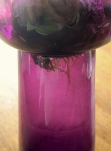 他の写真2: ヒアシンス　球根用　ＶＡＳＥ　水栽培容器　紫色