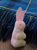 海を渡ったベルベットうさぎ　ジャパンラビット