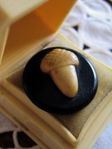 どんぐり　アイボリー　セルロイド　ボタン