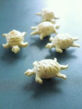子がめ　ヴィンテージボタン