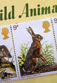 イングランドの動物切手　５種　ROYAL MAIL　ロイヤルメール