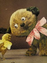古い時代の犬のぬいぐるみ　EINCO TUBBY　珍しいフォトカード　