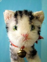 仔猫のTABBY　シュタイフ　