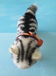 他の写真2: 仔猫のTABBY　シュタイフ　