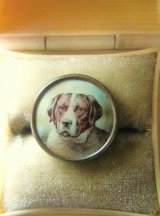 セントバーナード　ＤＯＧ　ボタン　シックなカラー　英国　　　