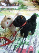 白い犬と黒犬　ペア　お散歩中　アンティークドールに