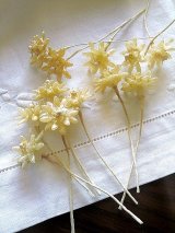 ワックスフラワー　花嫁のティアラ　オレンジの花　ドイツのアンティークパーツ　クラフトに 