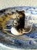 画像3: 黒猫のドリップキャッチャー　ティ－ポット　ミニチュア　ドイツ　陶器　 (3)