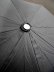 画像3: 折りたたみ傘　うさぎのハンドル　ブラックカラー　イタリア