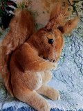 ベルベットのりす　シュタイフ　アカリス　１１ｃｍ　５０年代　