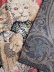 画像6: 仔猫たちのタペストリー　ヴィクトリアンキャット　ウォールハンギング　