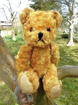 はちみつ色のテディベア　２２ｃｍ　from London