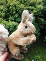 ふさふさ尻尾のリスのＰＯＳＳＹ　シュタイフ　ヴィンテージ　２０ｃｍ