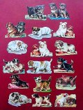HAPPY PRICE！　仔犬のクロモス　セット　