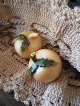 葉つき林檎 　セルロイドボタン　２個セット