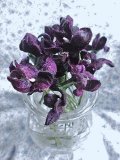コサージュに　すみれ　ビオラ　布花　ブーケ　　フラワーパーツ　花束