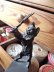 画像2: 猫のシンブルホルダー　真鍮製　ヴィクトリアンキャット　６ｃｍ　 (2)