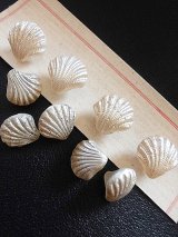 シェルの形のガラスボタン　パールカラー　貝の形　　