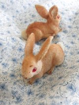 赤い眼をした子うさぎ　ドイツ　Wagner　お猿さんのラベル　a.