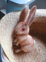 赤い眼をした子うさぎ　ドイツ　Wagner　お猿さんのラベル　スタンディングポーズ