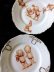 画像2: キューピーのプレート　絵皿　１３cm　★ローズオニール　ドイツ　アンティーク　１． (2)
