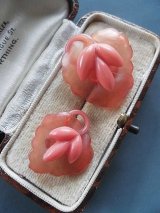 木の実と葉っぱ　セルロイド　ボタン