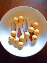 クリーム色のボールボタン　ベークライト コーンクリーム
