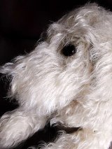 DOG パジャマ入れ　白いわんこ　英国　ロンドンより