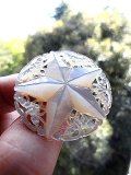 祈りを込めて手彫りされたブローチ　星と鳩　ベツレヘムパール　マザーオブパール　３，７ｃｍ
