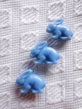 うさぎ　フレンチボタン　Lapin　ラパン 