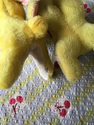 画像3: レモン色のウサギ     ２匹セット　海を渡ったジャパンラビット