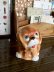 画像1:   ボンゾ         ディンキー     仔犬のクッキージャー   キャンディー キャニスター (1)