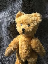 はちみつ色のテディベア　２３ｃｍ