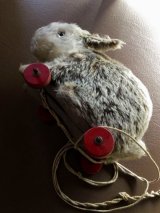  うさぎのプルトイ     モカ色 ダッチラビット    イギリスのヴィンテージ