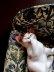 画像1: 茶トラ猫さん　TUBBY     ミニチュア フィギア     キャット    英国　ロイヤルドルトン　 (1)